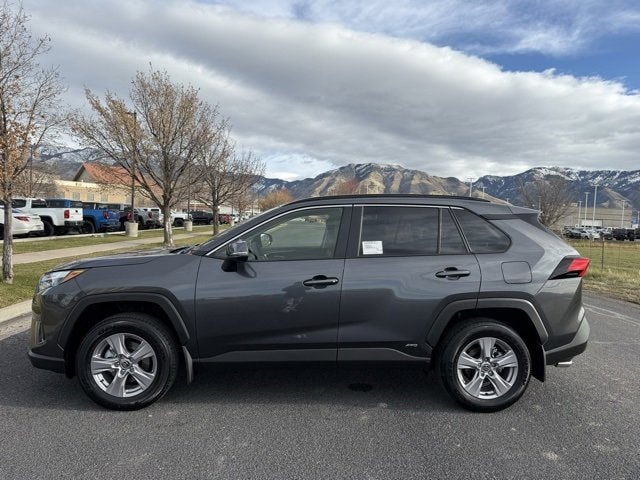 2025 Toyota RAV4 XLE's photo