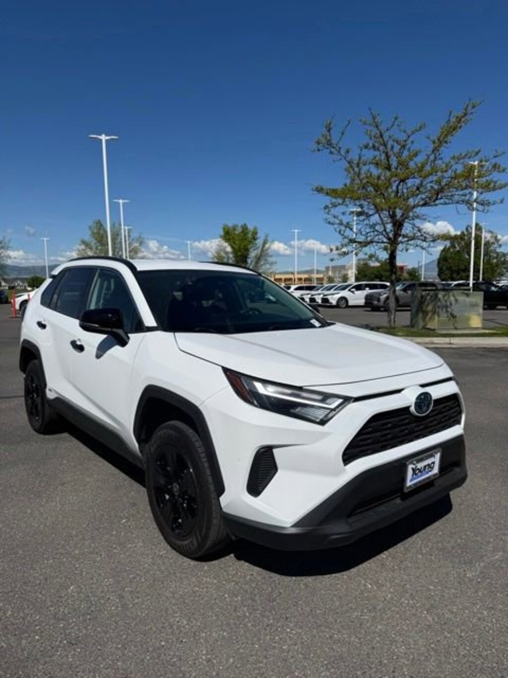 Used 2024 Toyota RAV4 Hybrid LE Sport Utility