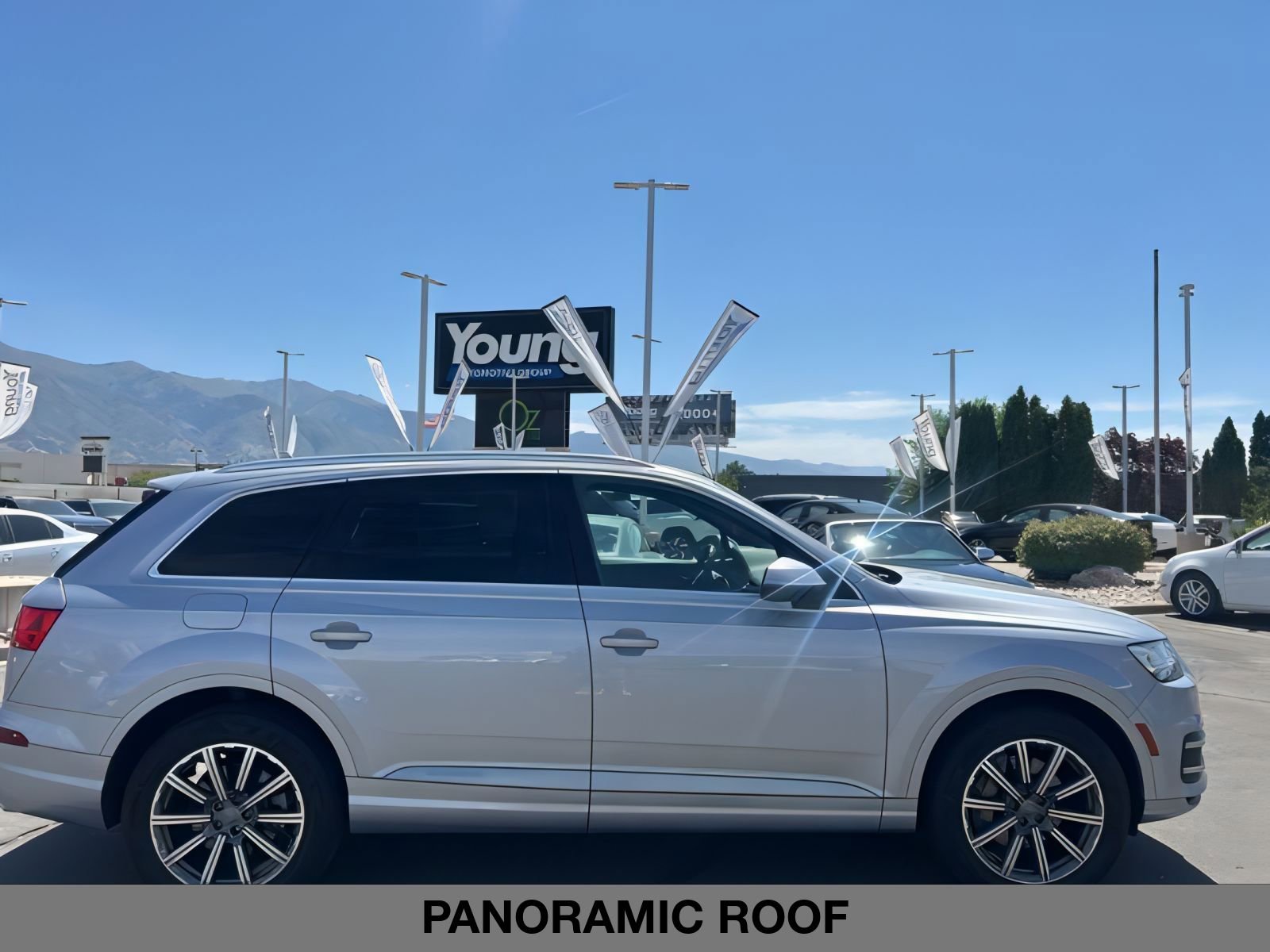 2019 Audi Q7 Premium Plus 55 photo 3