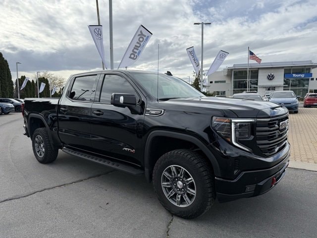 2025 Gmc Sierra 1500 AT4 photo 3