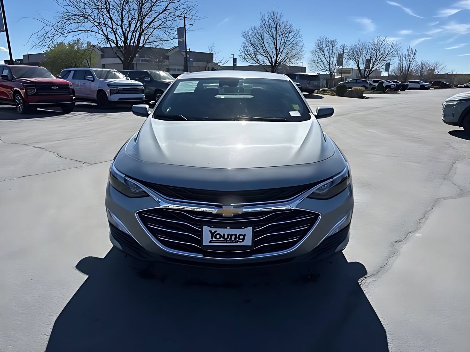 1G1ZB5ST9RF166641