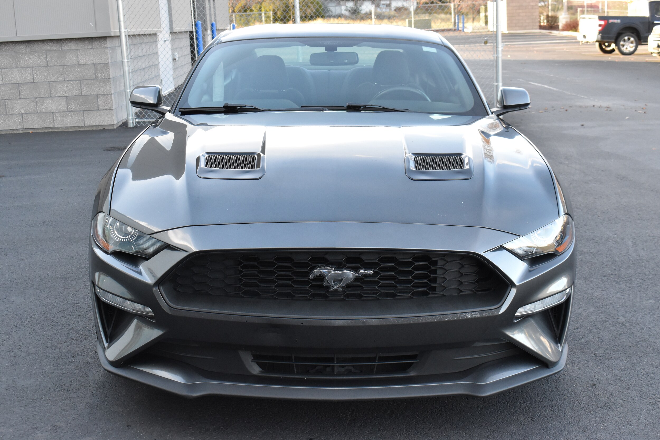 2018 Ford Mustang Mach 1 photo 2