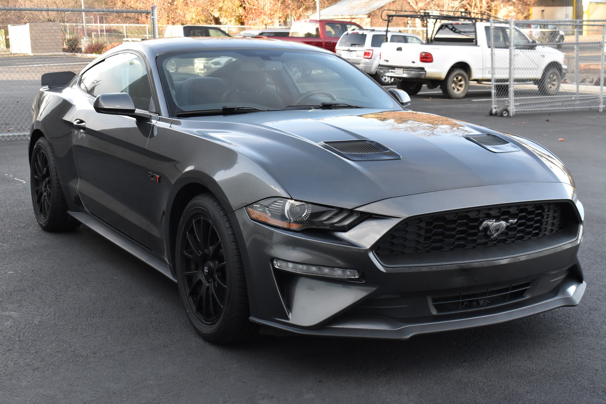 2018 Ford Mustang Mach 1 photo 3