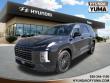 New 2025 Hyundai Palisade Calligraphy Night Edition AWD Calligraphy Night Edition AWD