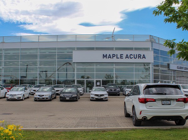 Maple Acura