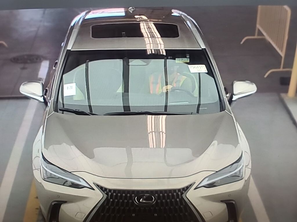 Used 2024 Lexus NX 350h Premium SUV