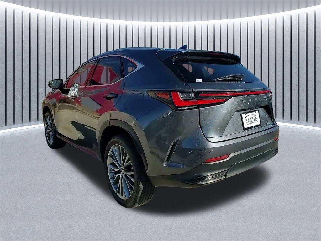 2024 LEXUS NX - Image 14