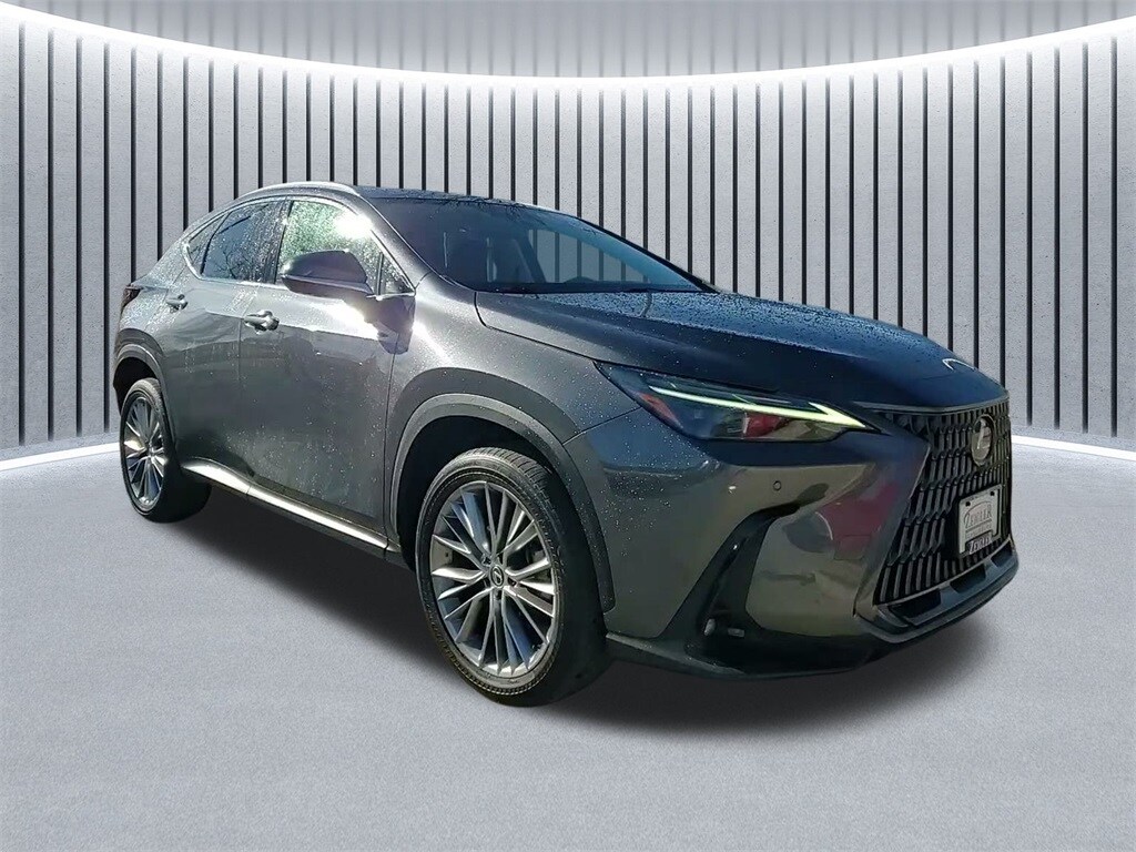 2024 LEXUS NX - Image 2