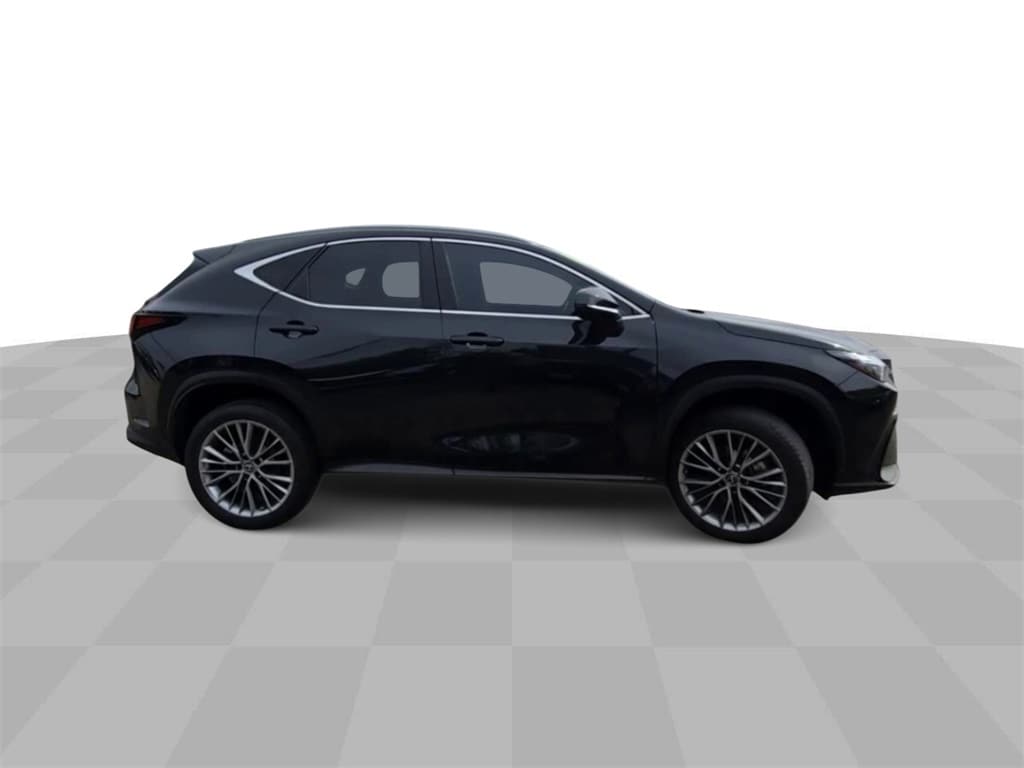 2022 LEXUS NX - Image 2