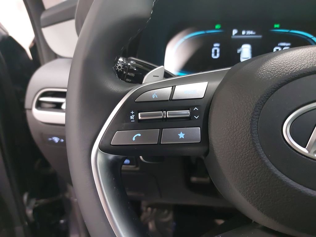 2025 HYUNDAI PALISADE - Image 19