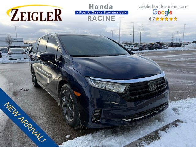 2022 Honda Odyssey Elite's photo