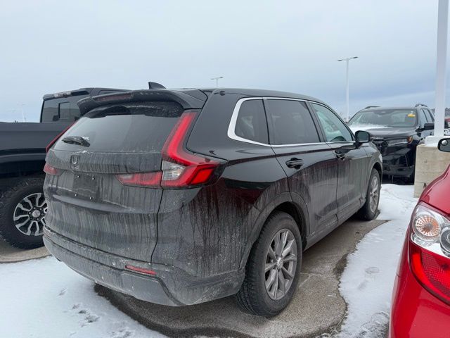 2025 HONDA CR-V - Image 4