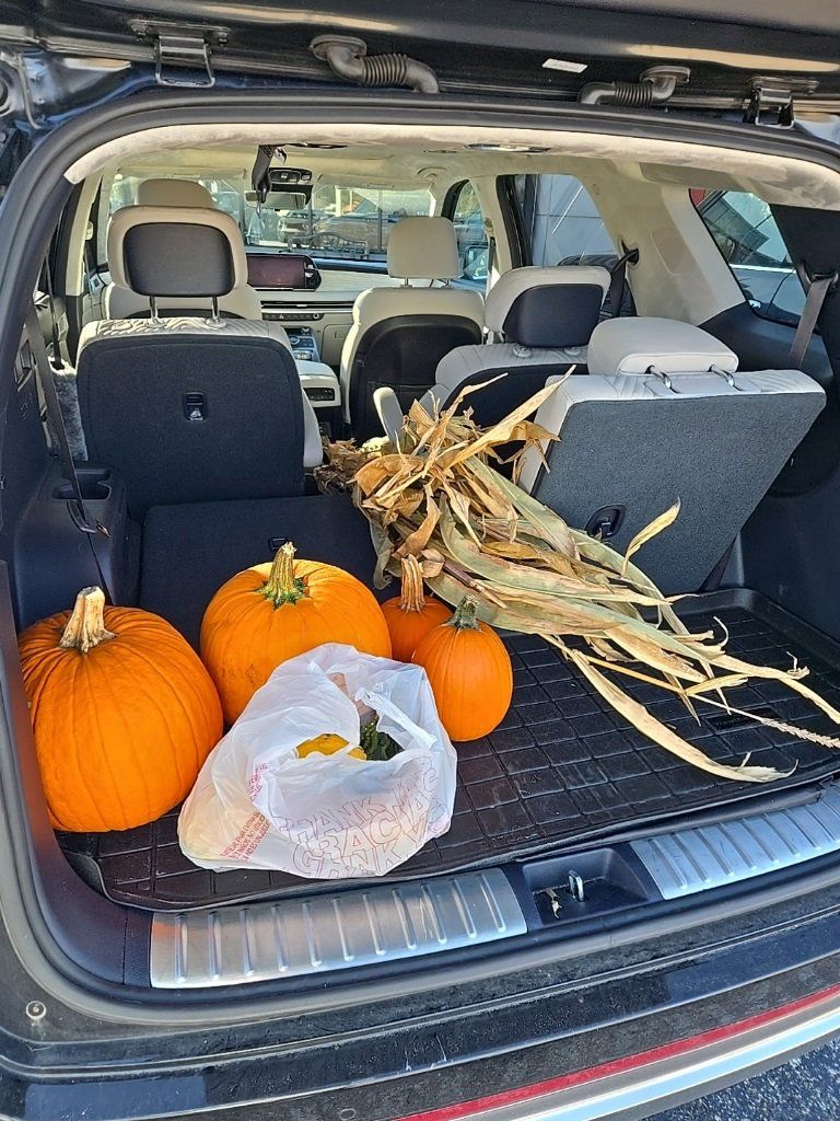 2023 HYUNDAI PALISADE - Image 9