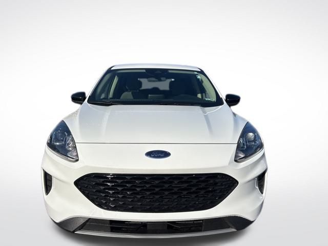 2020 Ford Escape SE Sport Hybrid photo 2