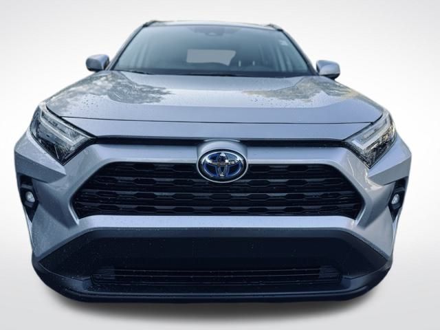 2024 Toyota RAV4 Hybrid XLE Premium photo 2