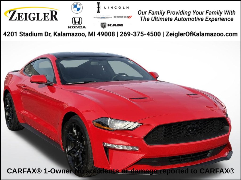 2019 Ford Mustang