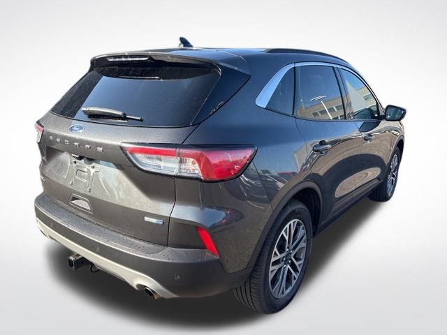 2020 Ford Escape SEL photo 4