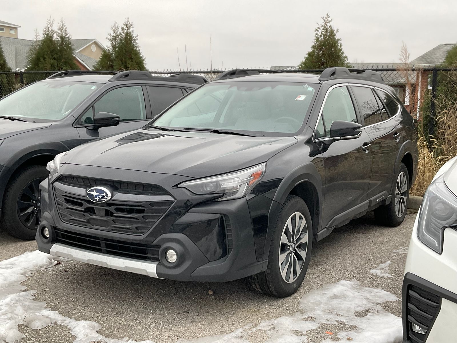 2024 Subaru Outback Limited's photo