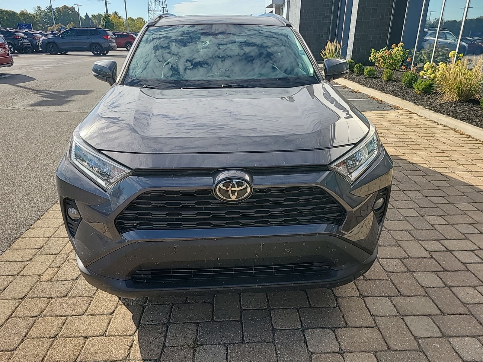 2019 Toyota RAV4 XLE photo 3