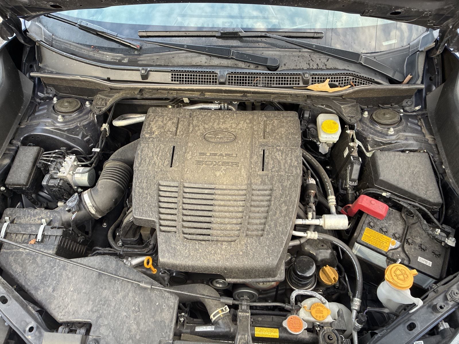 2023 SUBARU FORESTER - Image 11