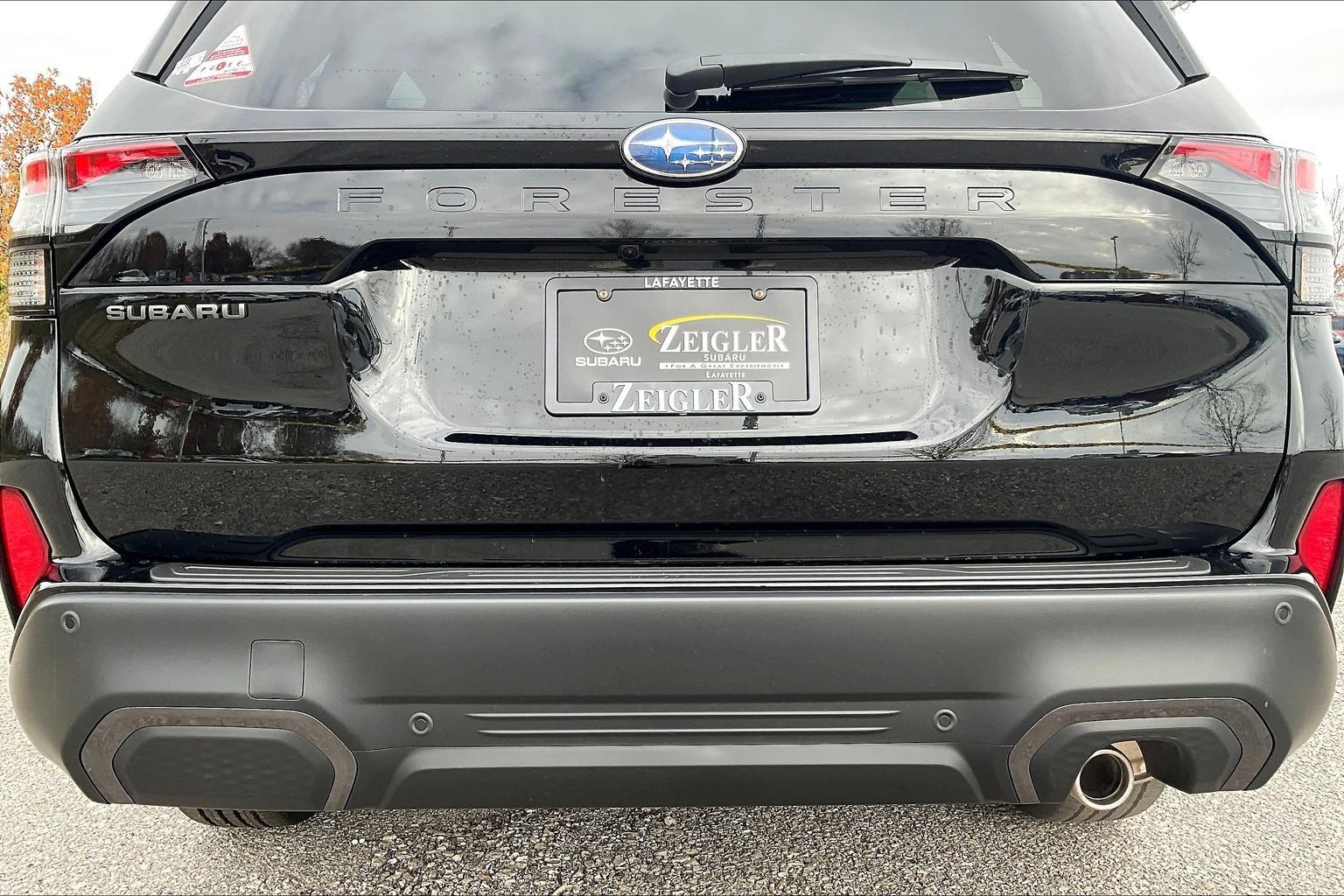 2026 Subaru Forester Limited - Photo 12