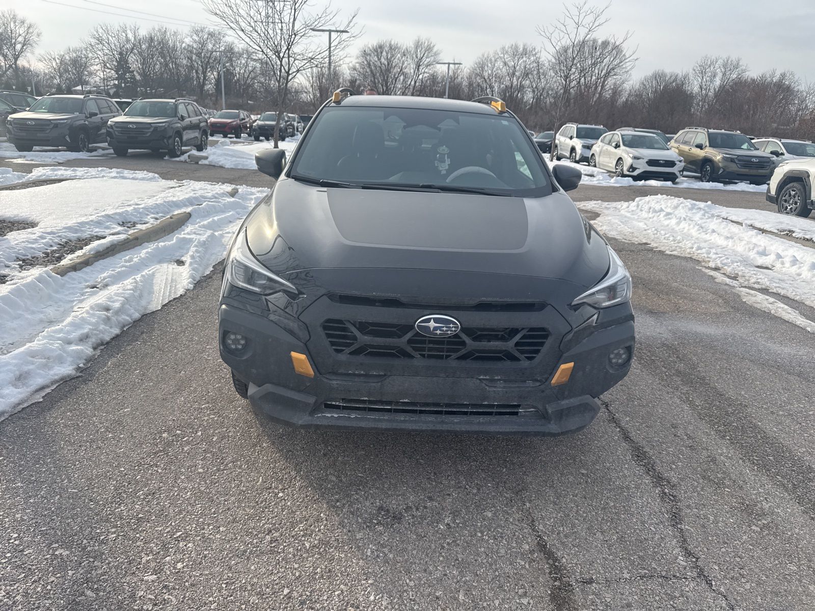 2024 SUBARU CROSSTREK - Image 1