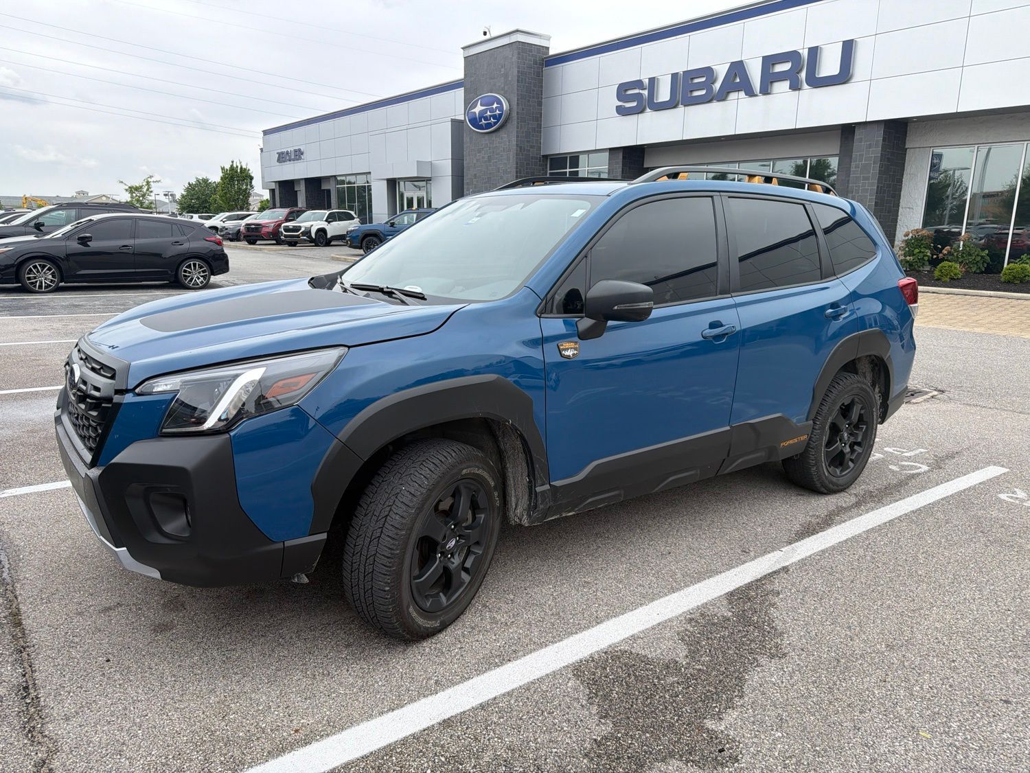 2024 Subaru Forester Wilderness's photo