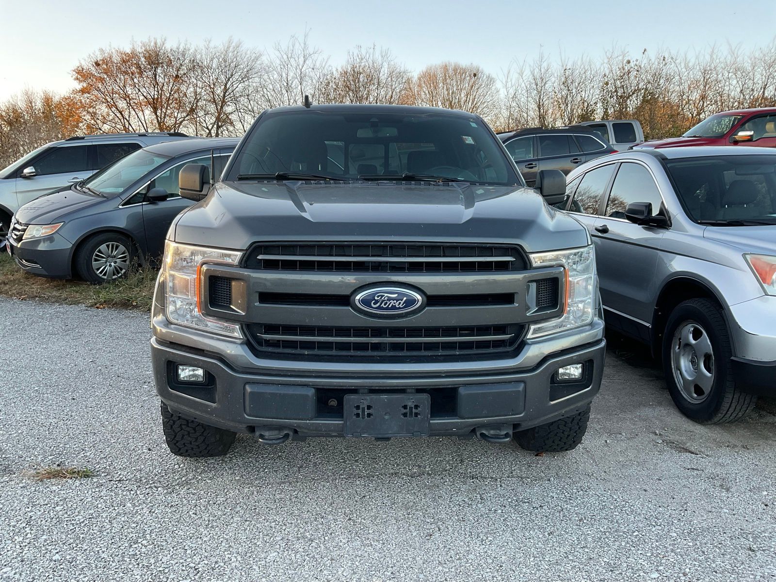 2019 Ford F-150 photo 2