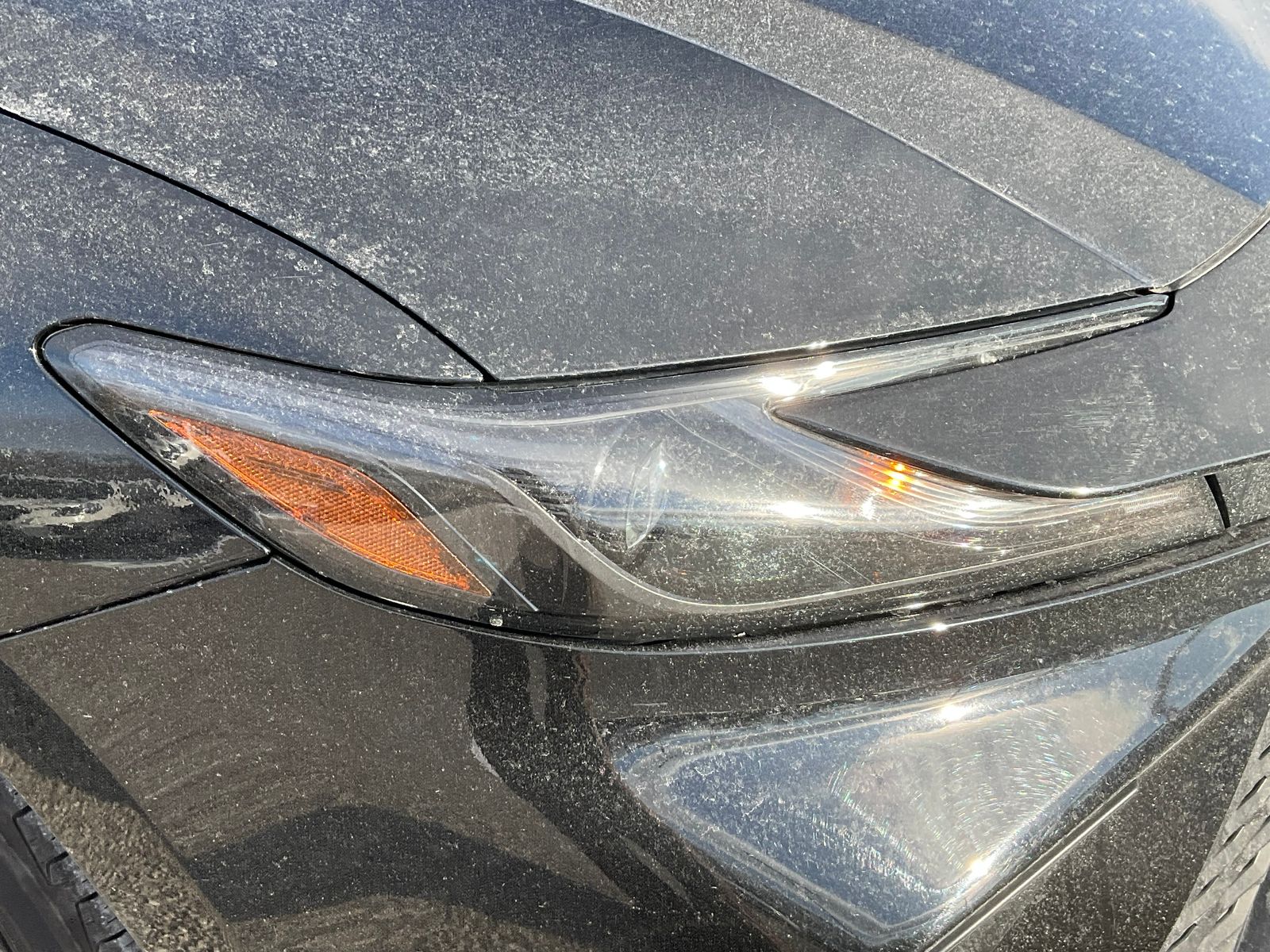 2025 TOYOTA CAMRY - Image 7