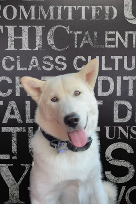 Staff member Ghost from 410005c4ebb9