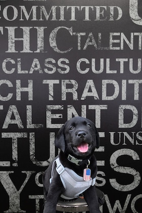 Staff member CJ from 410005c4ebb9