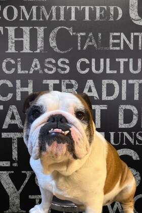 Staff member Millie from 410005c4ebb9