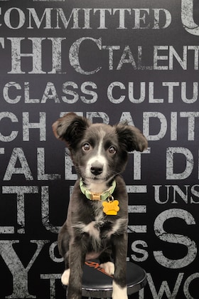 Staff member Fiona from 410005c4ebb9