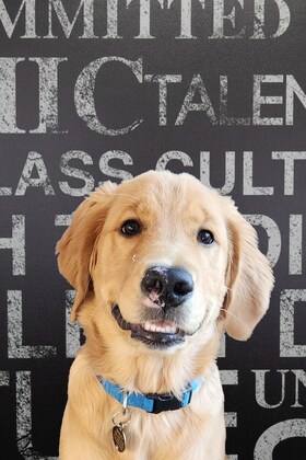 Staff member Joe Amore Jr from 27a3231c6a6f