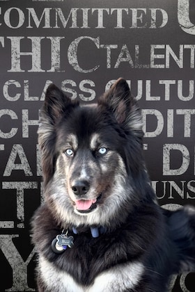 Staff member Blu from 410005c4ebb9