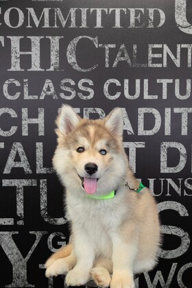 Staff member Stormi from 410005c4ebb9