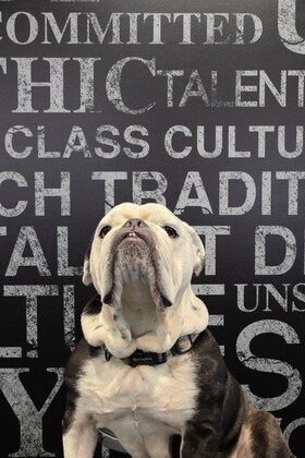 Staff member Max from 410005c4ebb9