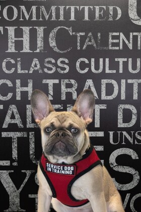 Staff member Millie from 410005c4ebb9