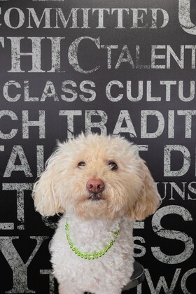 Staff member Stella from 410005c4ebb9