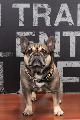 Staff member Oliver from 410005c4ebb9