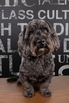 Staff member Soco from 410005c4ebb9