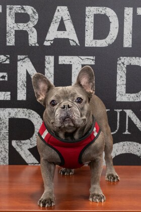 Staff member Tifa from 410005c4ebb9