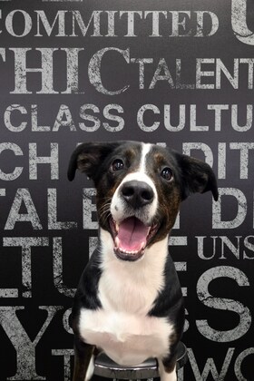 Staff member Mocha from 410005c4ebb9