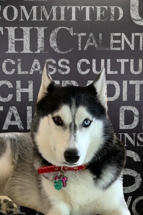 Staff member Nova from 410005c4ebb9