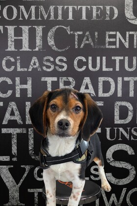Staff member Cooper from 410005c4ebb9