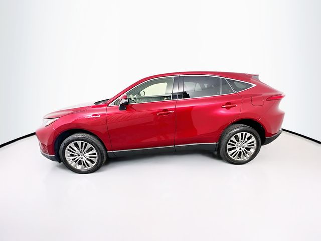 2021 Toyota Venza XLE photo 4