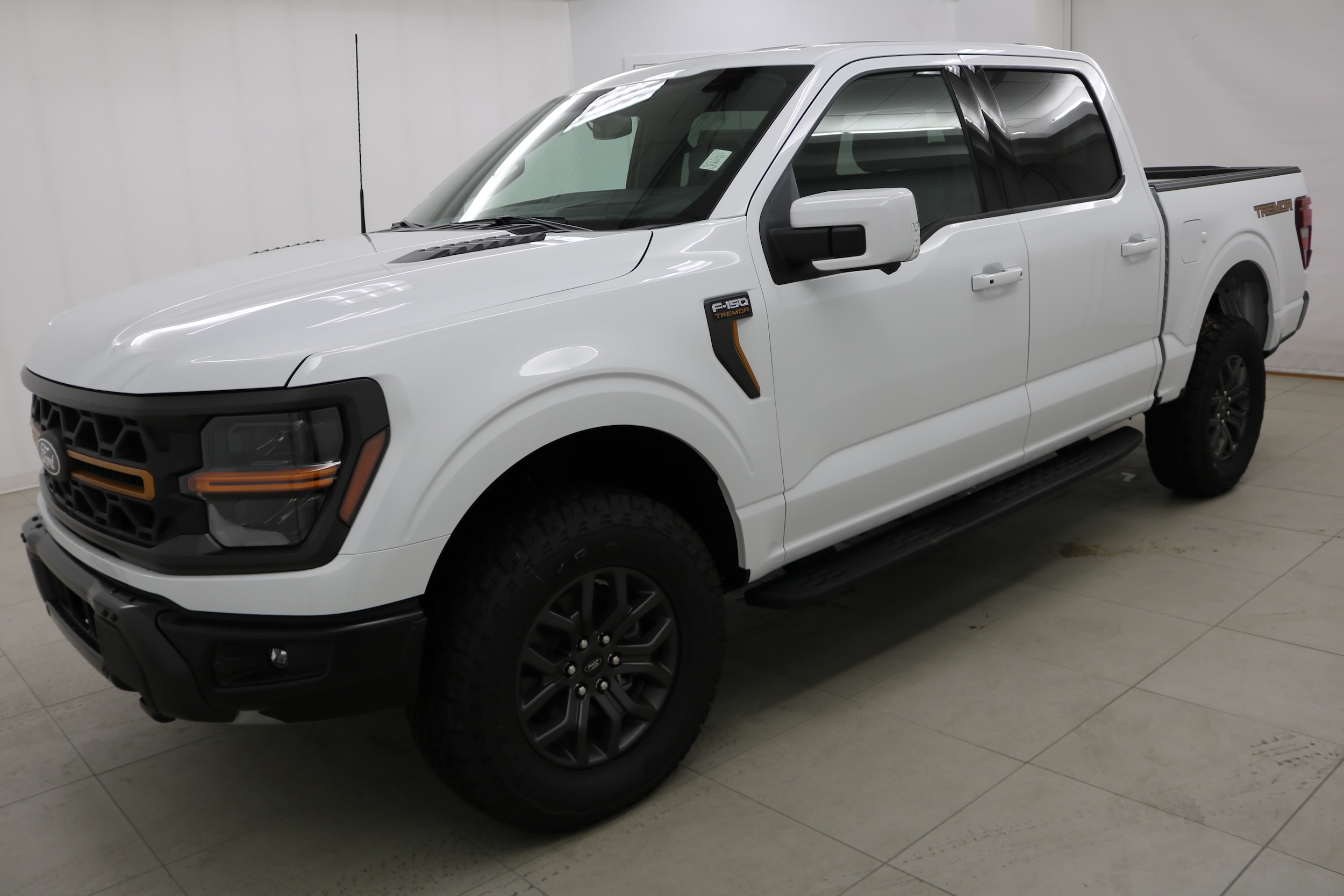 2025 Ford F-150 Tremor's photo