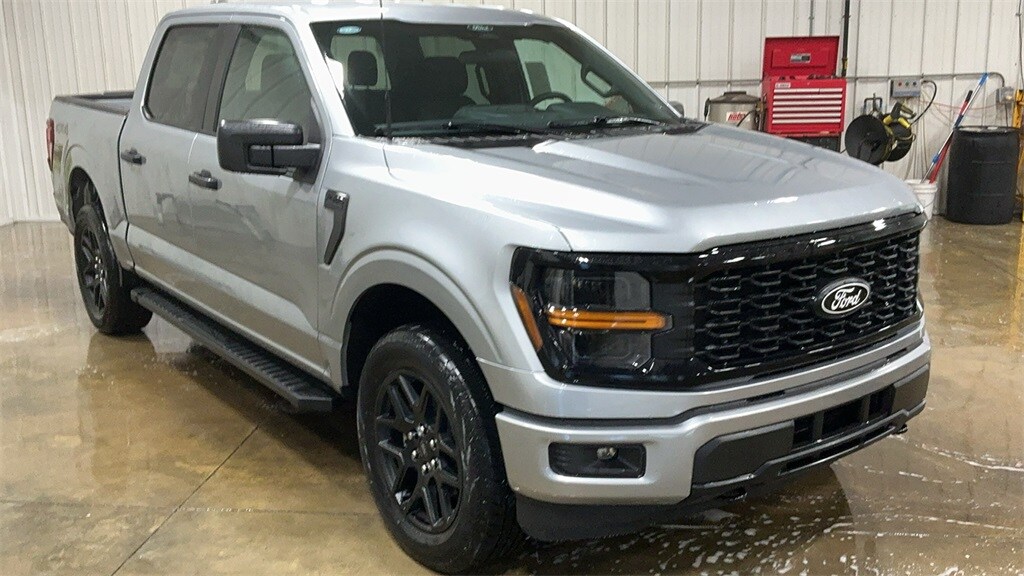 2025 Ford F-150 STX photo 3