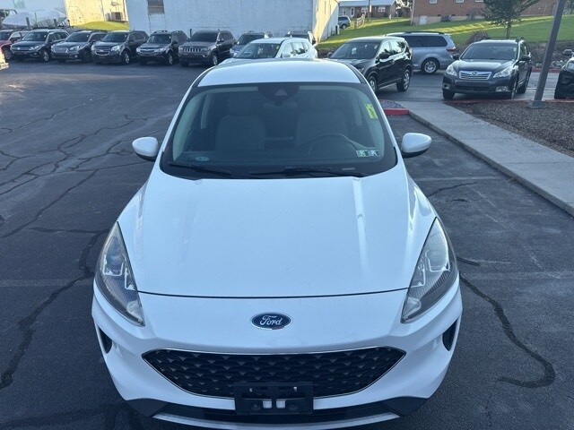 2020 Ford Escape SE photo 4