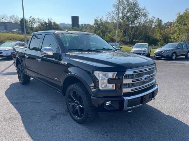 2016 Ford F-150 Platinum photo 2